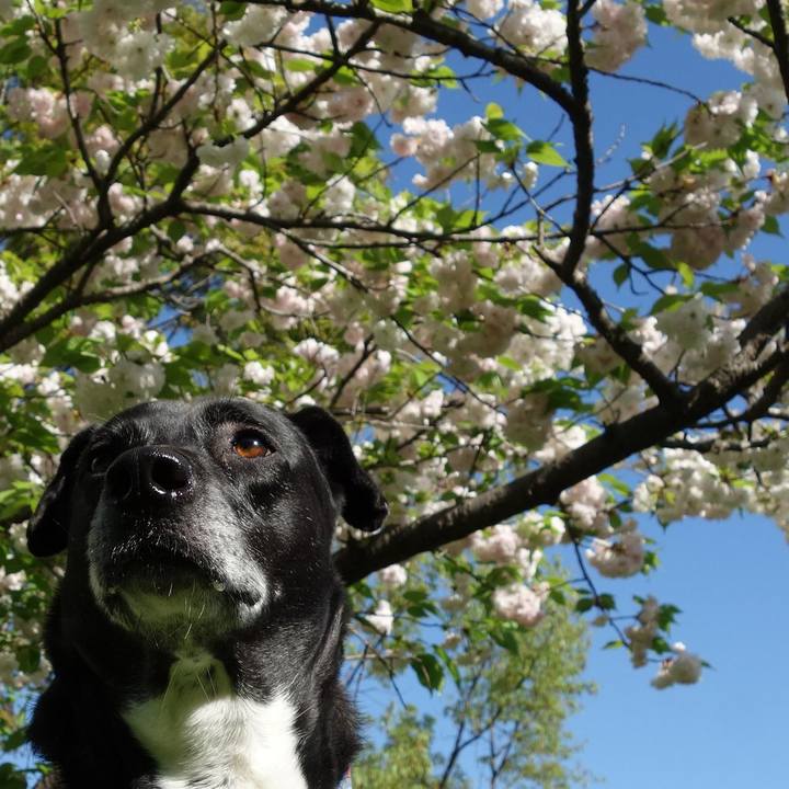 36b38aee 5d15 475e acc5 93263564dc53 1713313929619