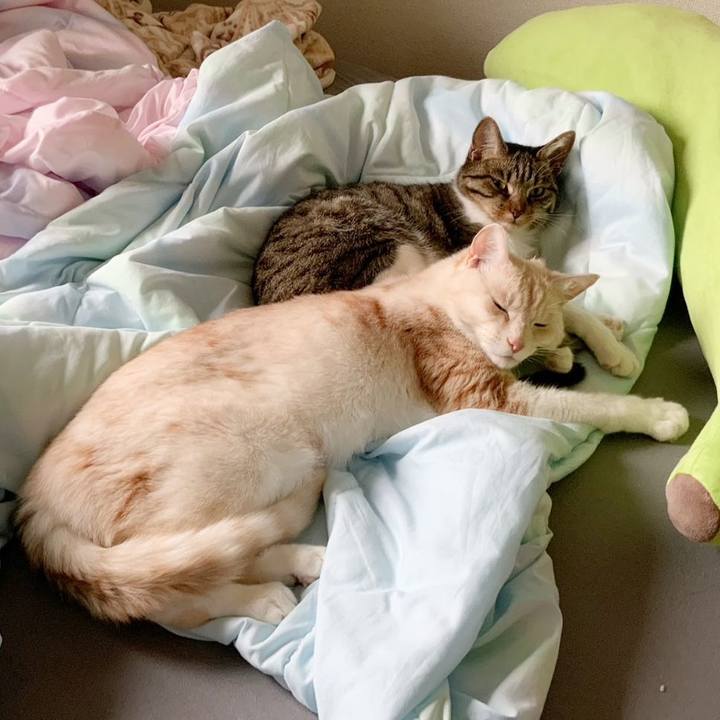 36b3c7c3 bd27 4ae6 8d4d 68b9a4cb2cd6 1682919026390