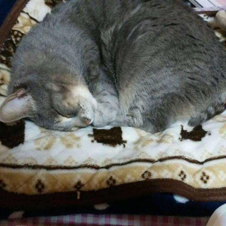 36b3d66a e3aa 4294 a32f 424bd8c97251 1585836470200