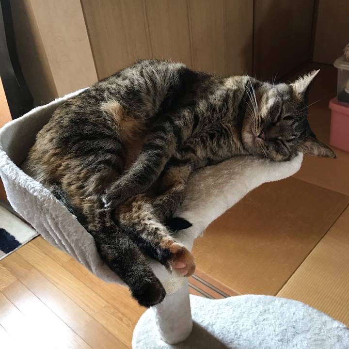 36b3e149 8f36 4a6c 936a 9b8e7f0b352c 1563865828656