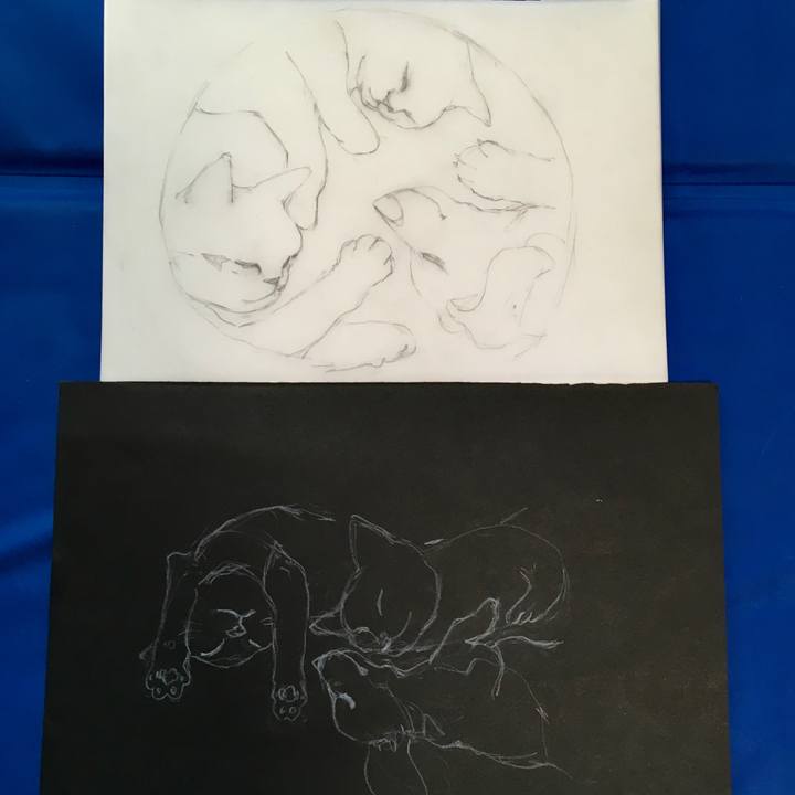 36b3efa7 3501 48f0 a6cb 41e73e4b5e78 1591770476072