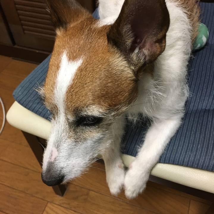 36b3f79d 95c7 4d52 8237 f3ad9128ea0d 1558582752921