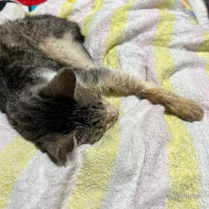 36b3fb9c 5b63 48cd 9d19 58f5b2eea279 1759754569496