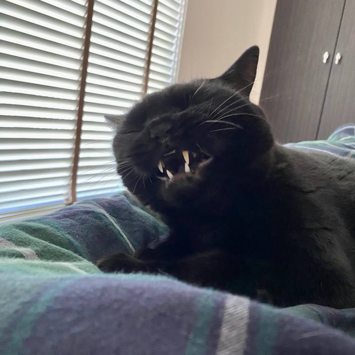 36b3fe42 3318 44d6 a0bc 71f3e62323e1 1603930089842