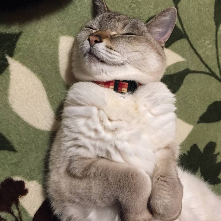 36b40557 830b 4b65 b08e 302cd630f41e 1587469158164