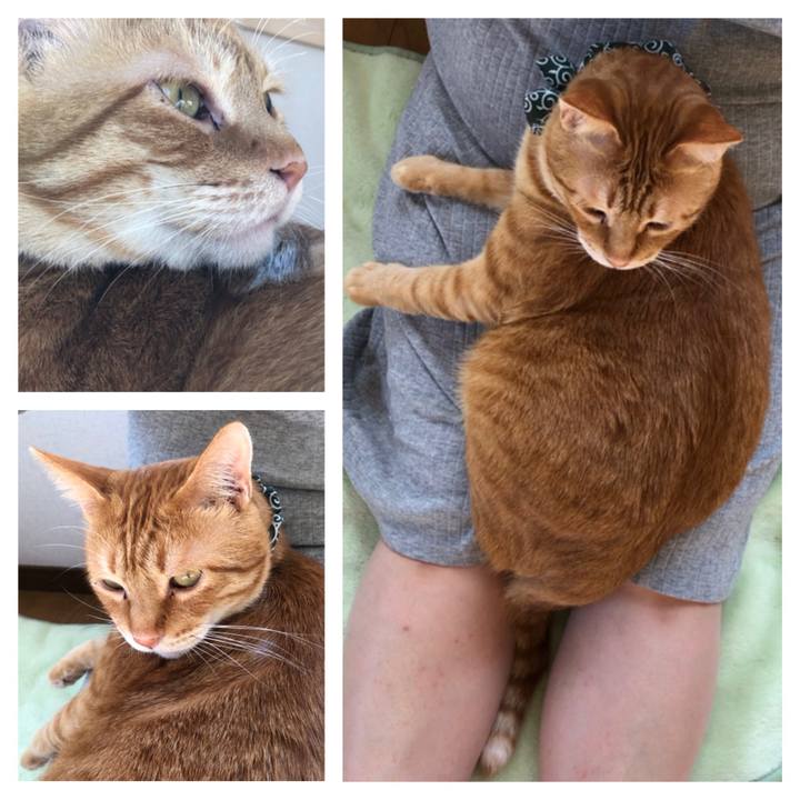 36b43b64 0c2d 4c93 859f 6ee0e19c4c4a 1558222247013