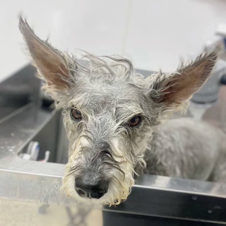 36b456e7 d64b 4814 9ec1 e24042cb2a42 1763267422044