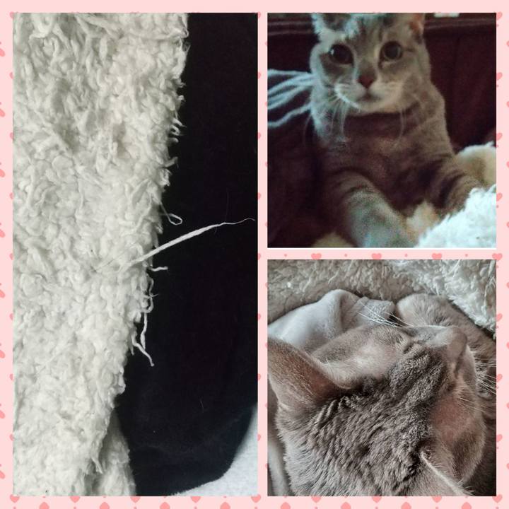 36b45b62 570b 4037 825b c367518020e9 1701682866515