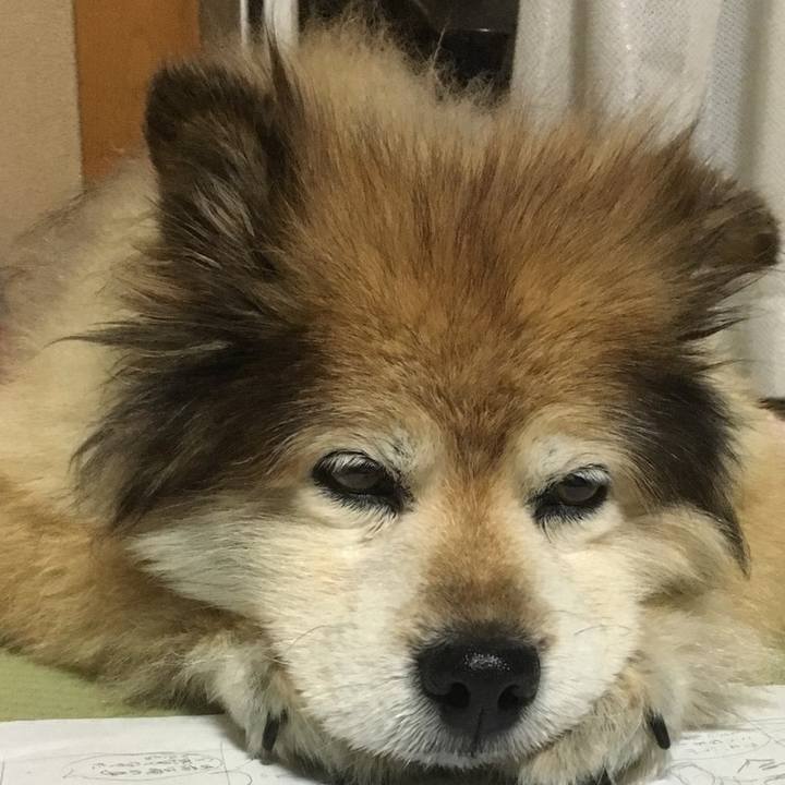 36b45d49 8da0 45d7 af24 ca5974468068 1610829146113