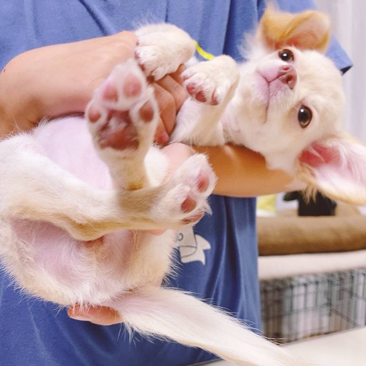 36b49900 5b67 4a4d b372 36bd83052dd6 1591097781924