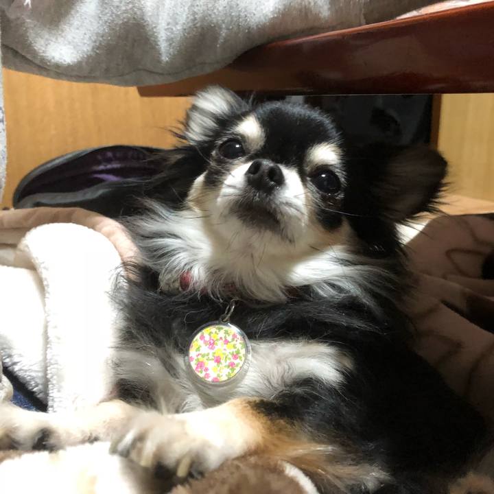 36b4d1cd 18c6 4fe3 b869 3f0585c3fd6b 1521086073182