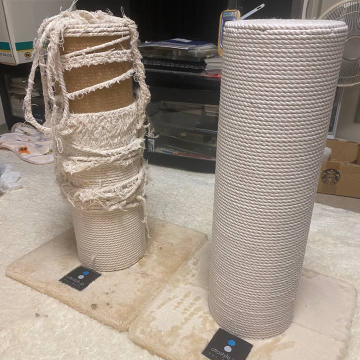 36b4d37c c9ce 4587 8008 7090d6938fab 1733216810168