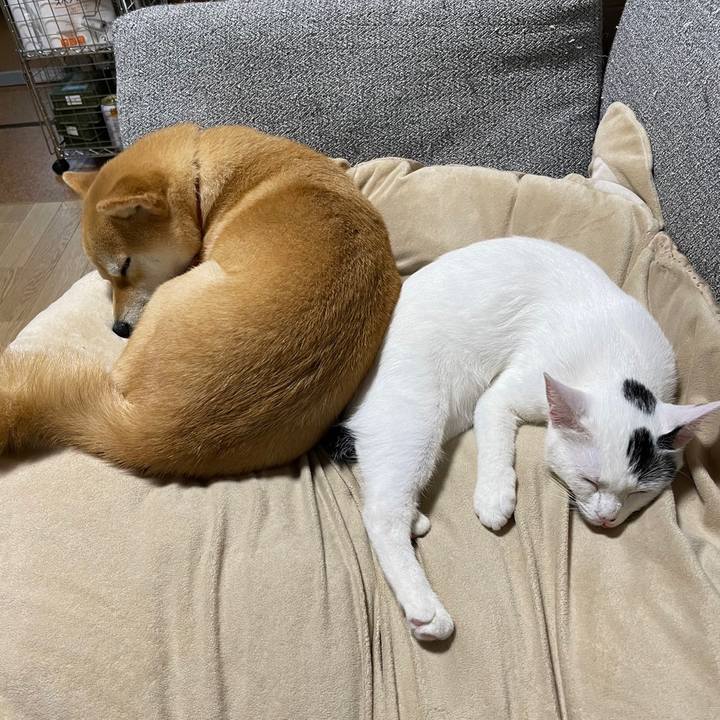 36b4f175 2b72 4e62 8c3e 979df25609b1 1688796041151