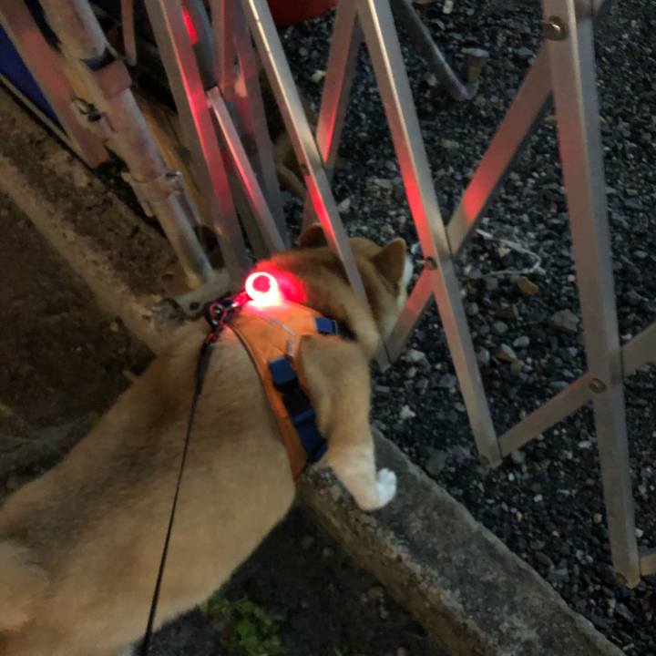 36b515e9 4d6d 48dc afe6 3e0ad7aa3db3 1596622898644