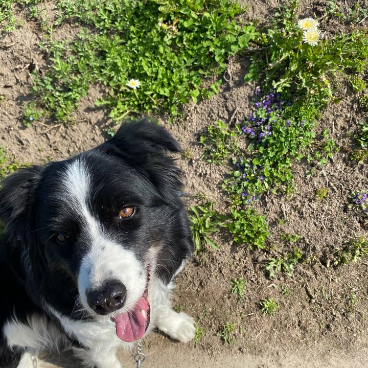 36b52894 13c7 4f84 bdb5 cf5003a62702 1616635397503