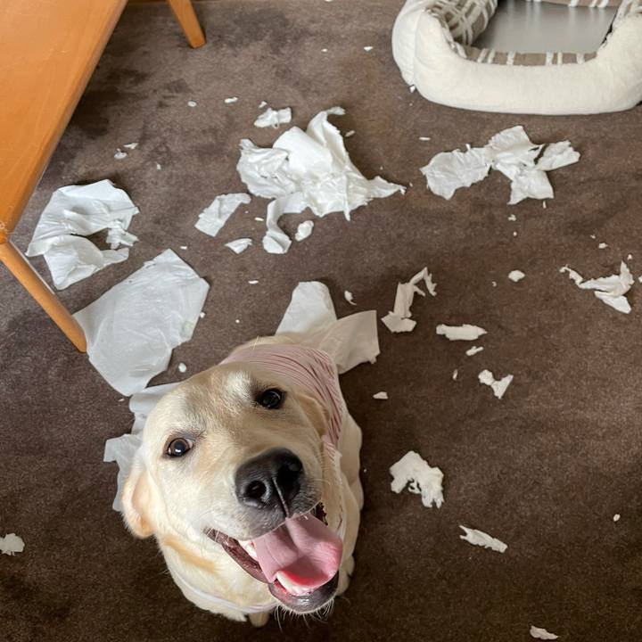 36b52f15 c4e3 413c b8fe 028516e54397 1623312094199