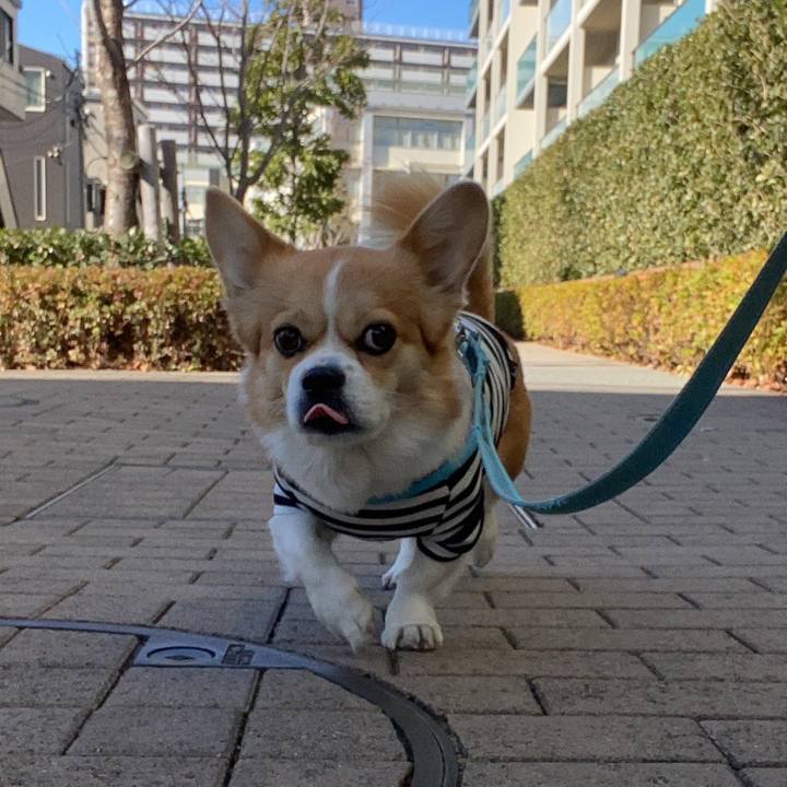 36b55eef 1985 4f01 97cf d643bfcc73d1 1640660054493