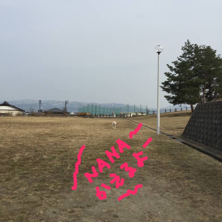 36b5a95e 687b 46e3 bc34 77d5703cab82 1522566187017