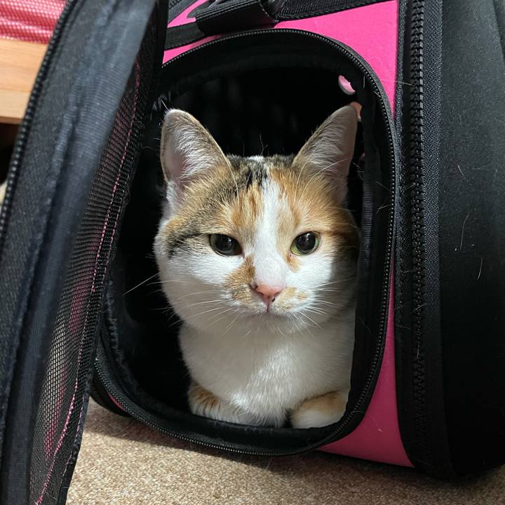 36b5ac42 431c 47d5 9eaf fc367e8ecaf3 1612740679733