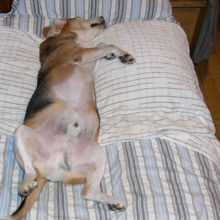 36b5c715 e5f6 4934 8970 b0946081bb0b 1647133345778