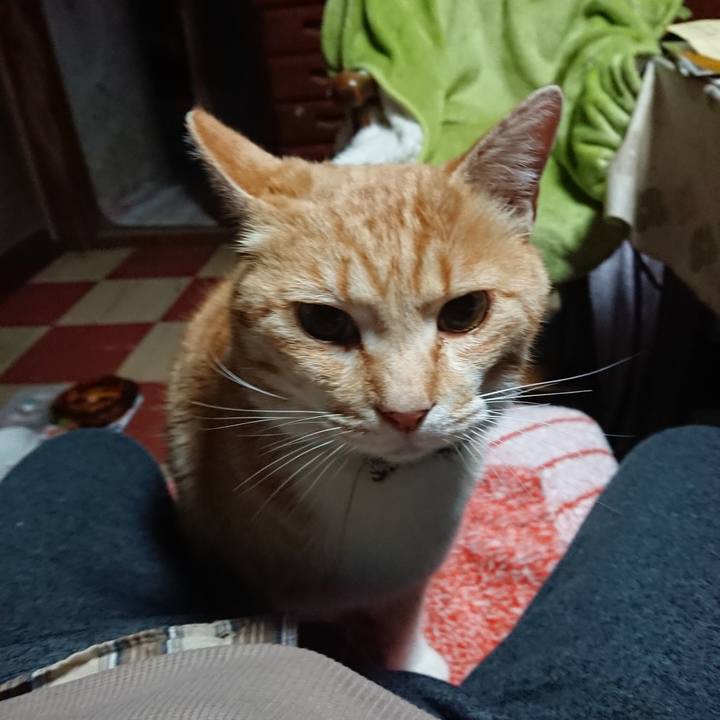 36b5d6c8 4f27 456b b008 b268a93a7acc 1588103461407