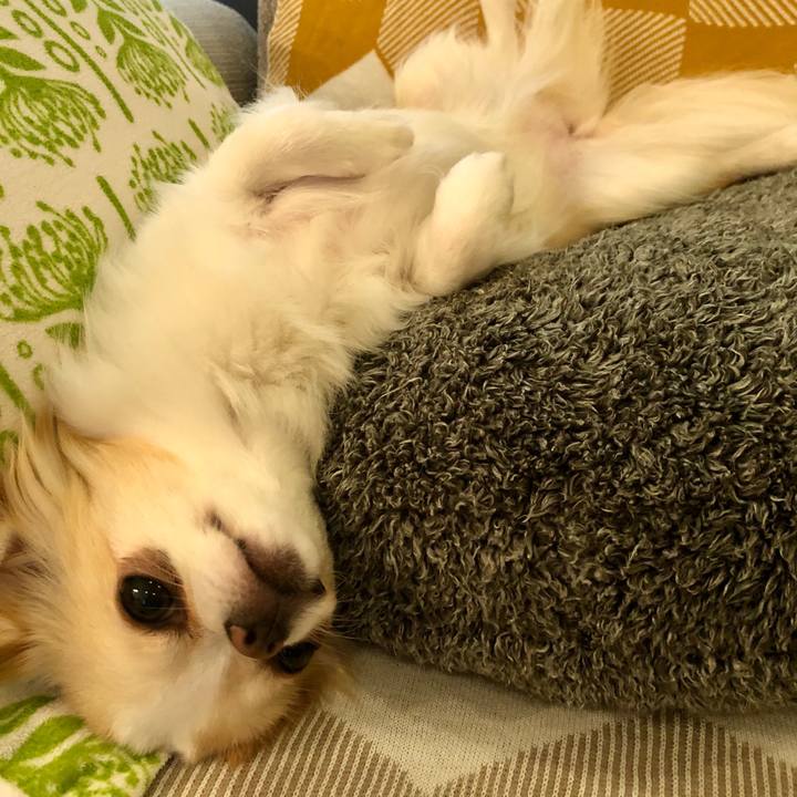 36b651e9 640c 4b83 9ea6 8439953d7593 1591963474402