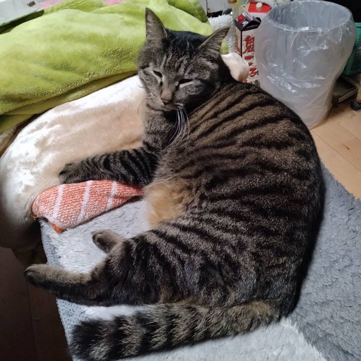 36b65c73 3511 4722 90aa b942b6c1f991 1678747565606