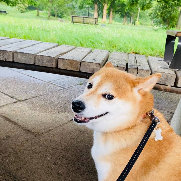 36b67aeb 4b50 4731 90c7 657e06701521 1595032992821