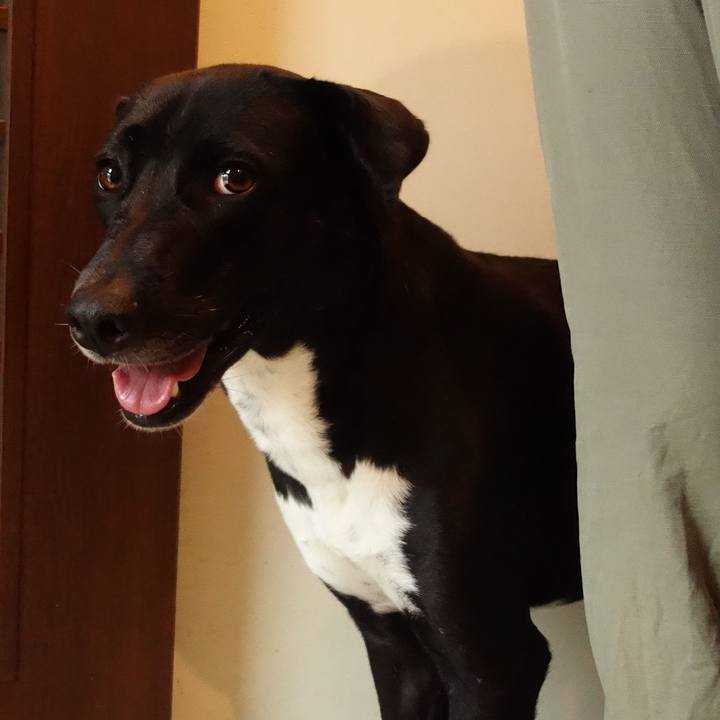 36b6acea 755a 4255 8ce8 d39f2619abfb 1593995037921