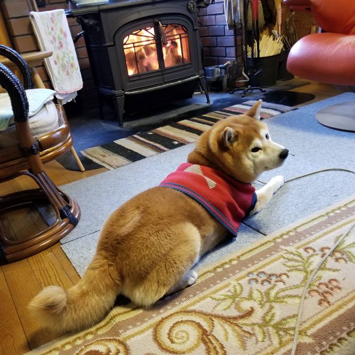 36b6b38b 7fbd 4881 8116 73dceaad1883 1554852885515