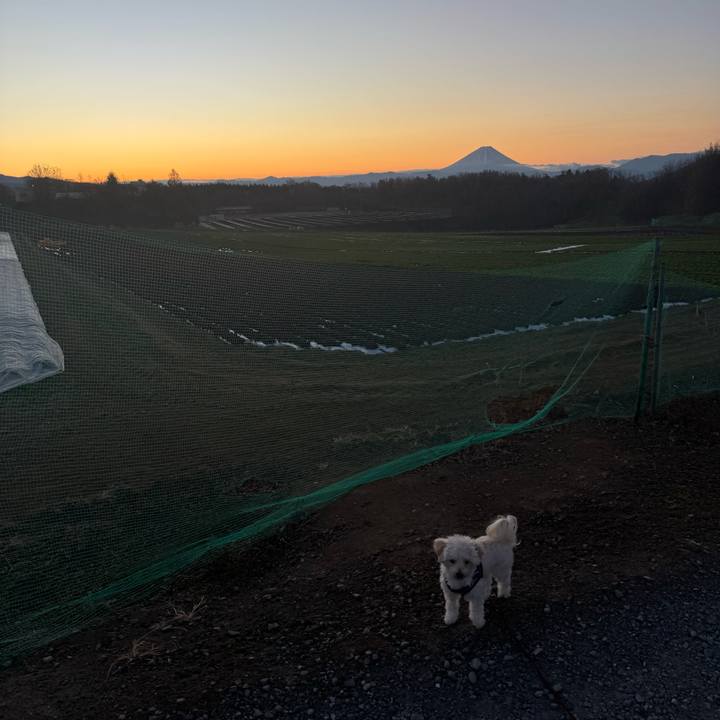 36b6da8a 88b7 4308 a5de 6daafaaf778a 1765233936735