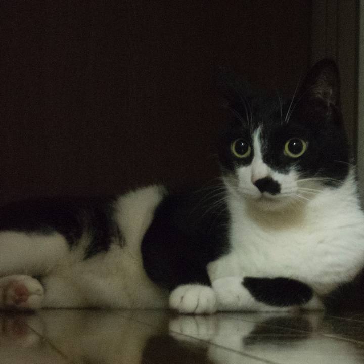 36b6f16a 0971 46ae 9dbc 3f81c3cb3d59 1527313889729