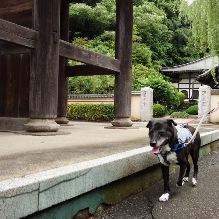 36b6f185 0deb 4f8c 8138 11b467836c30 1747527920766