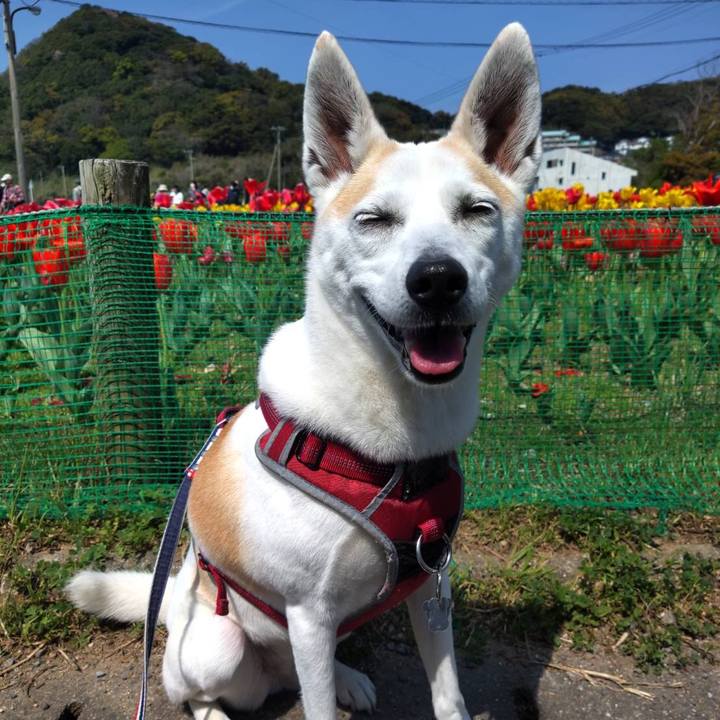 36b701bc 77cf 4001 9635 f1db3d732ab6 1681201613525