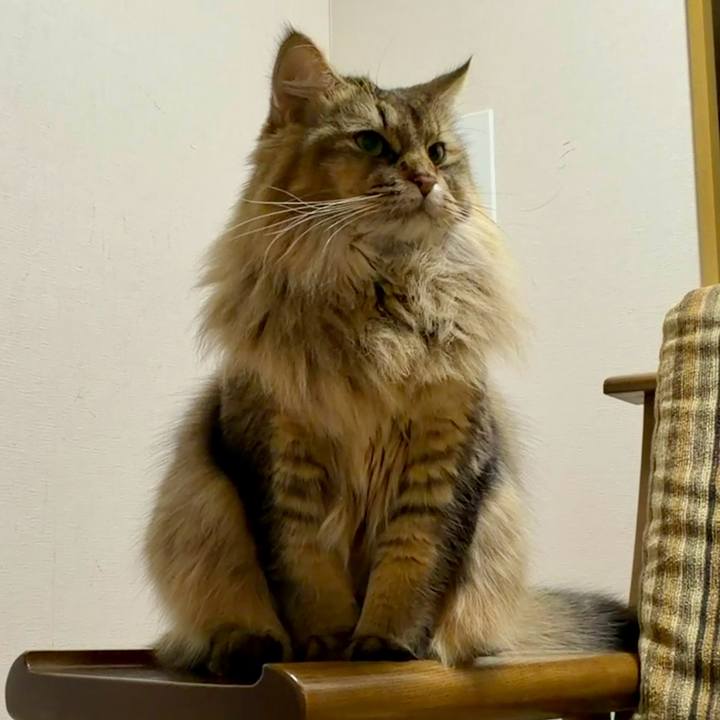 36b70c64 37e1 4d4a a997 027a02fdebf6 1765923998596