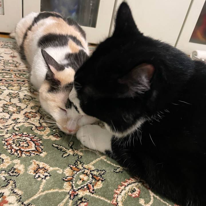 36b74d78 afe4 4f3d b0d6 53d5cad53f16 1753698191457