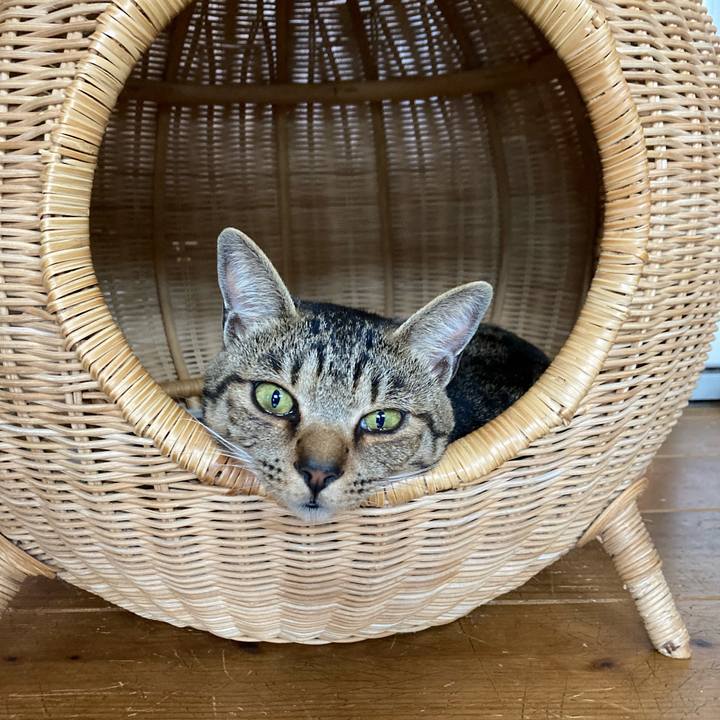 36b75e3a 8173 4e24 a59b 470df299de59 1679788813897