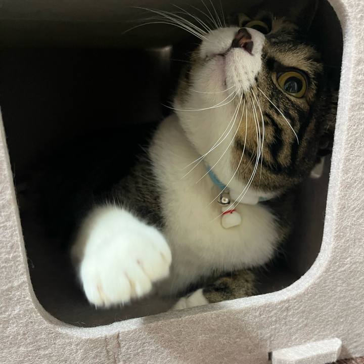 36b76219 4713 446d ba70 fb15b6d6d3c3 1769126099699