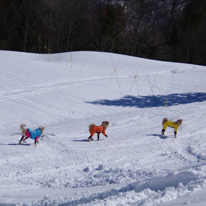 36b77222 dc68 493b 8311 87ecee474da4 1547854309666