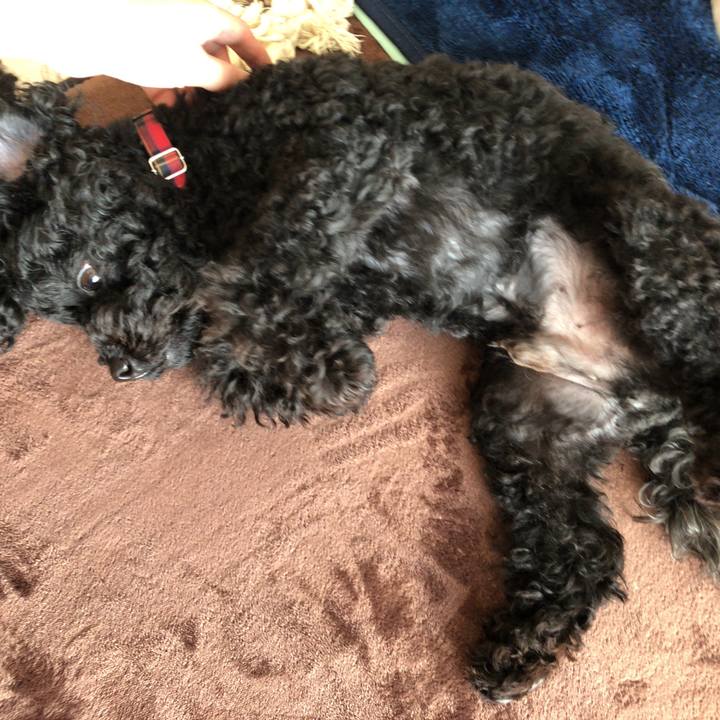 36b7970b ed30 4634 a4d0 29a8ff7b92c7 1554726731394