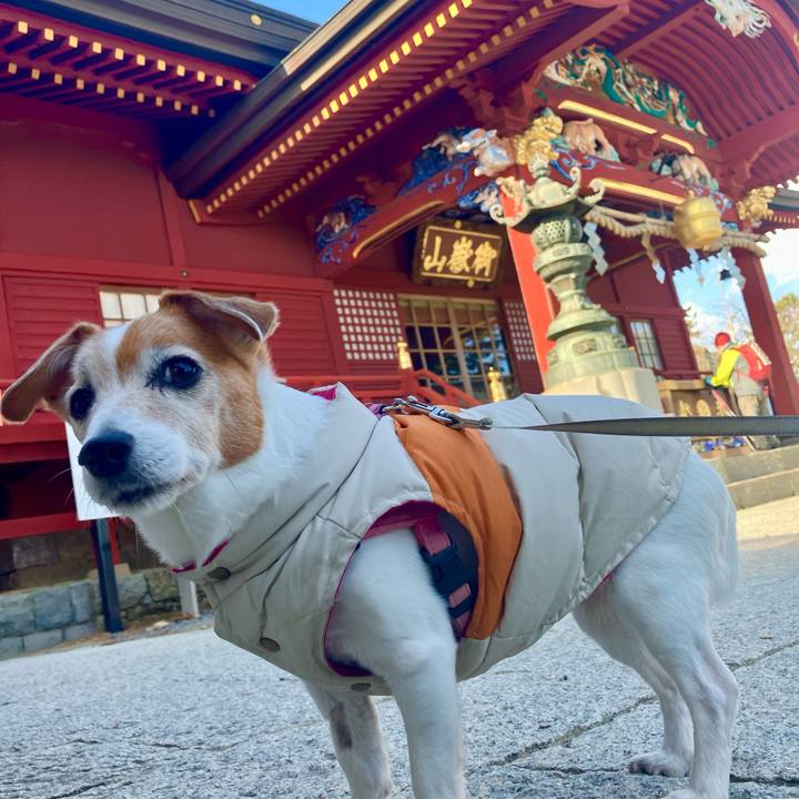 36b7a19c e6ec 4a5e 9cea d3089b171bec 1701256090212