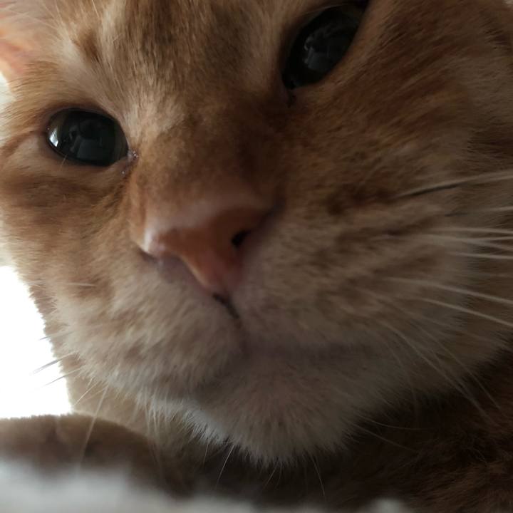 36b7beb9 0114 41a6 841e 12157d067fec 1612996950104