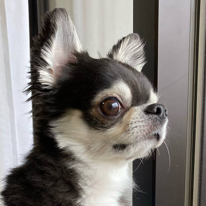 36b826d1 980e 460b b638 b358b1dbf207 1682142217912