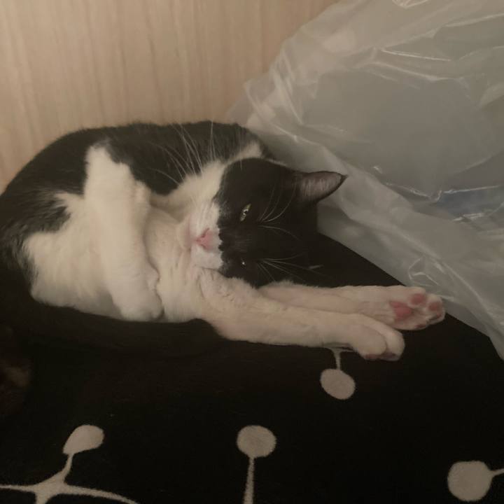 36b8359e 0aa9 4cb4 8a58 52d5975c38f4 1673320730482