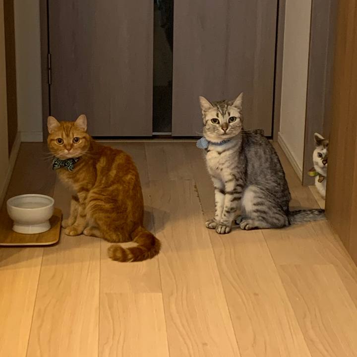 36b8449f 0126 4c07 a7f7 98503e943763 1569210186243