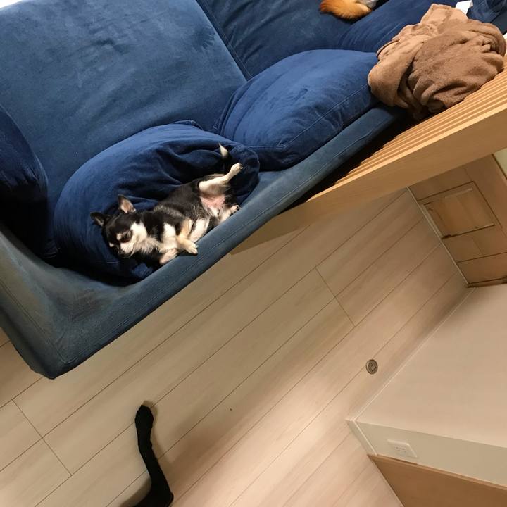 36b85428 2187 4b8d 9e00 18c255a1817a 1560170573033