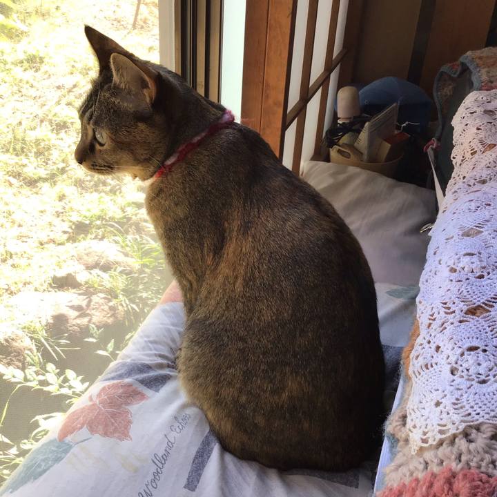 36b889c3 0e2a 4026 9716 8a3653caa2cd 1604802382076