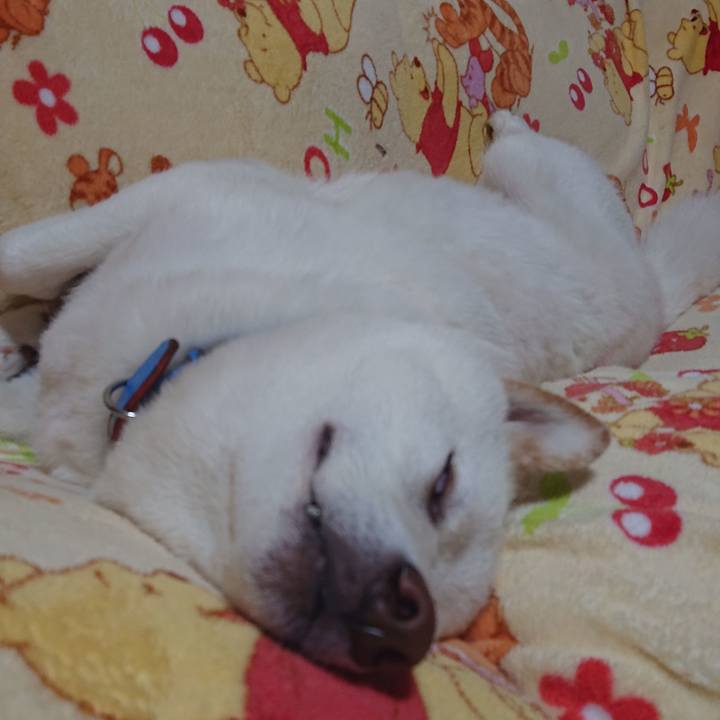 36b8ae66 b109 4527 8087 f764c09aa3cb 1584535582580