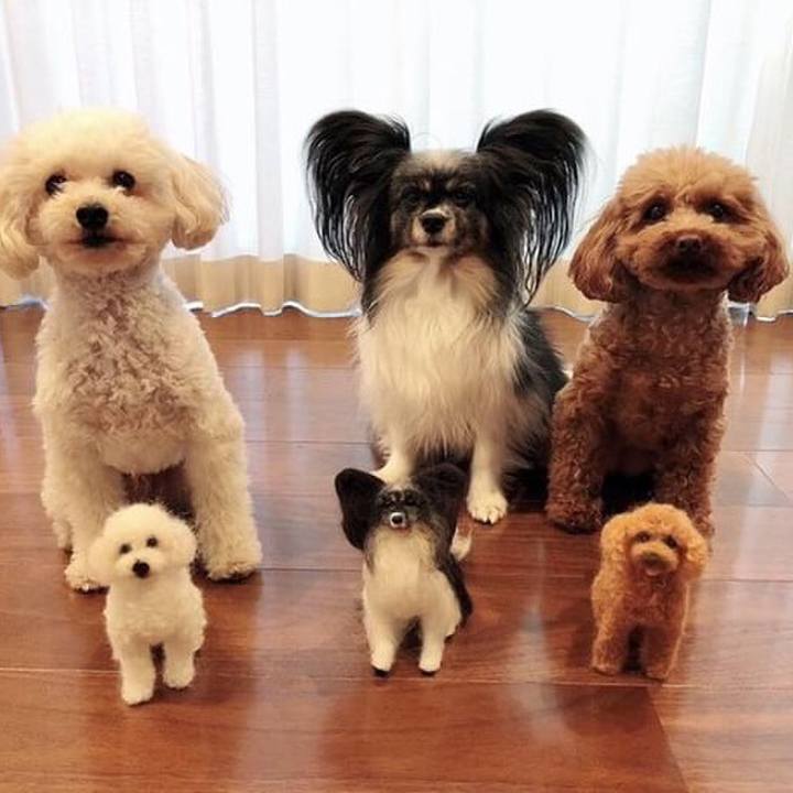 36b8ee8c 1382 48c6 a659 96d45cca473b 1556013519169