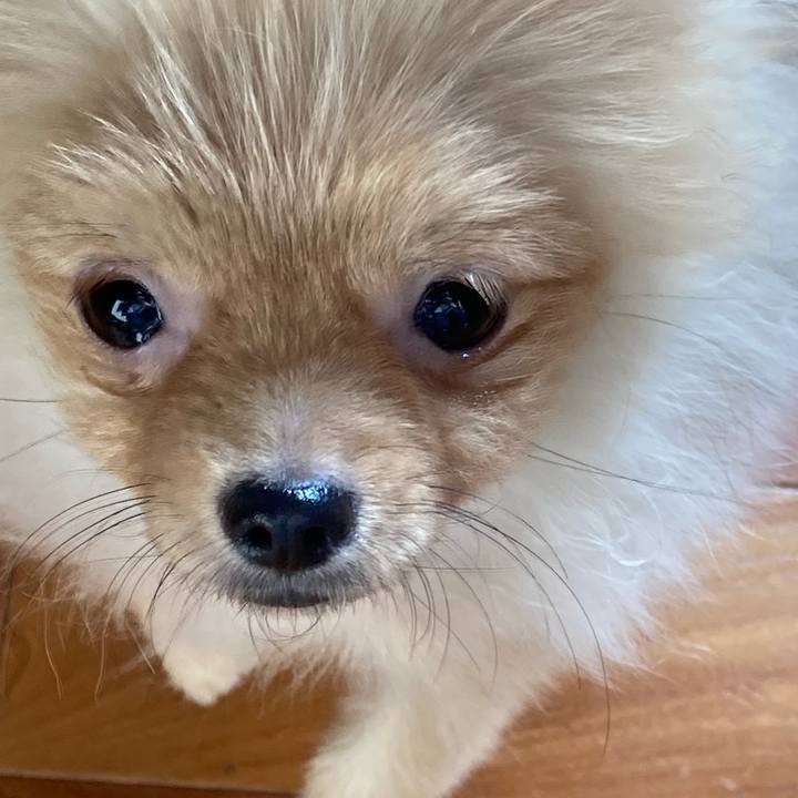 36b90cc9 6224 4067 9c5c d08e9d01cd7e 1640838947317